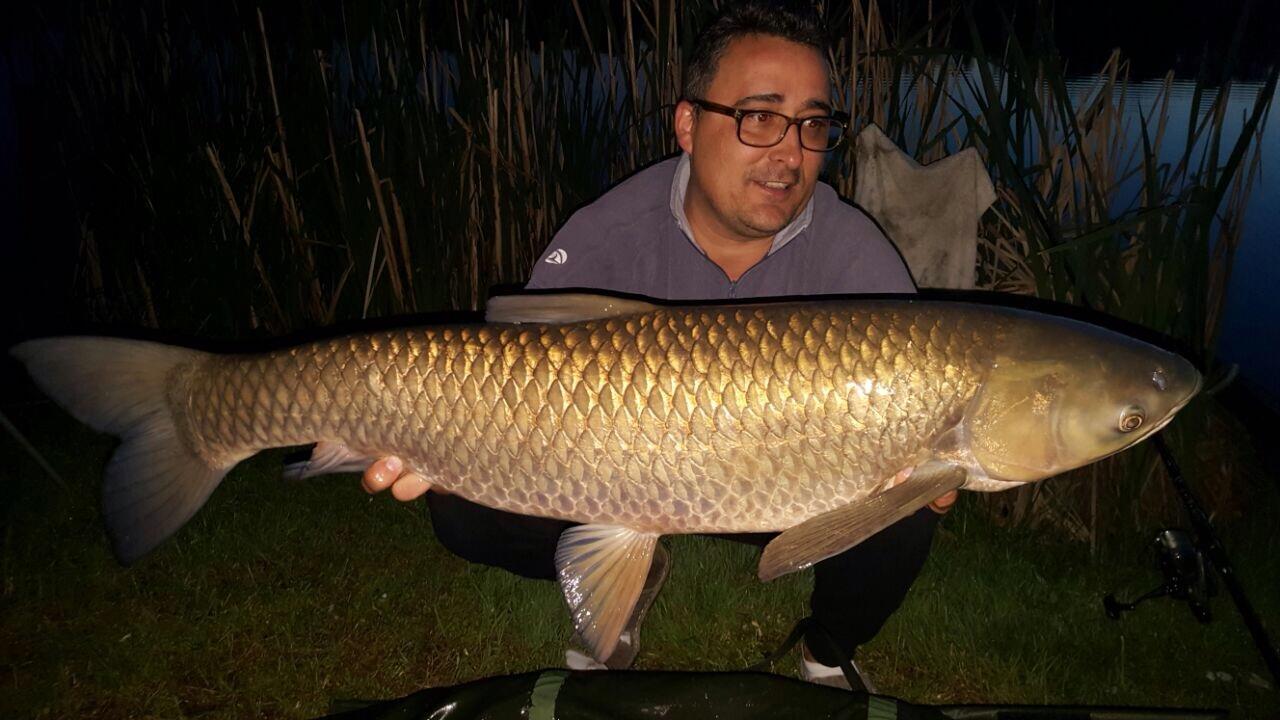 ISOLA DEL PESCATORE 1 - 2 mai 2017 - img9388.JPG